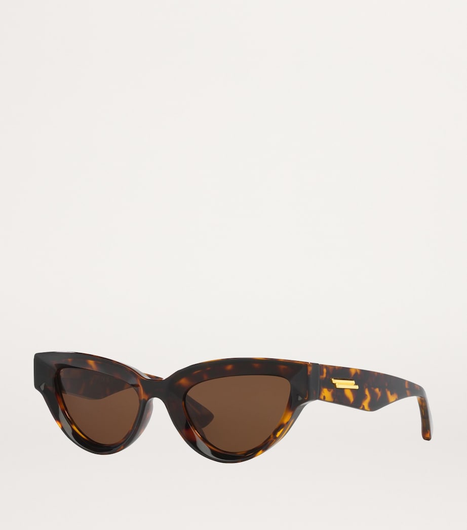 Brown Injected 06J000413 Sunglasses