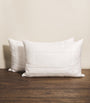 Eco Control Standard Pillow (50cm x 75cm)