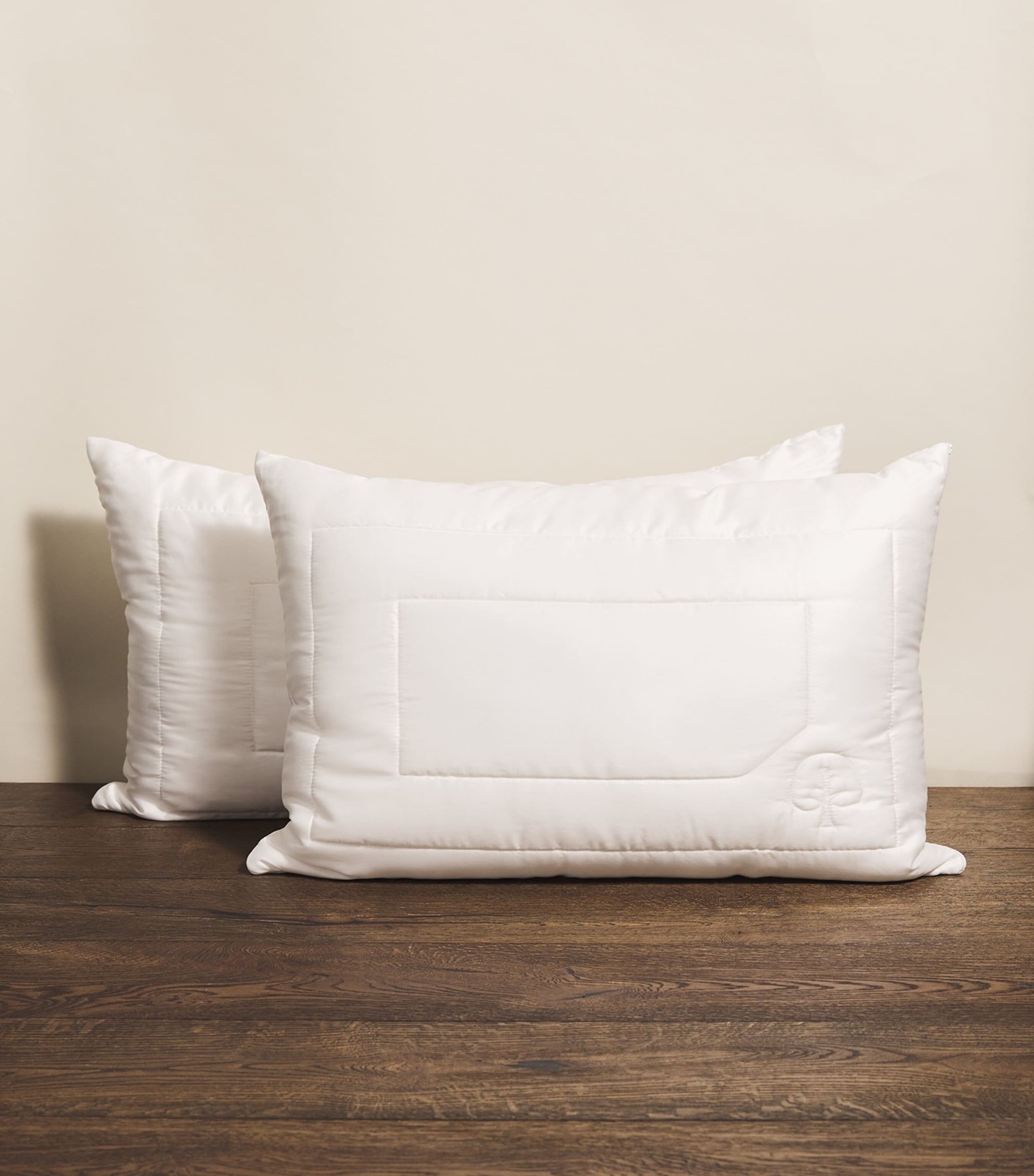 Eco Control Standard Pillow (50cm x 75cm)