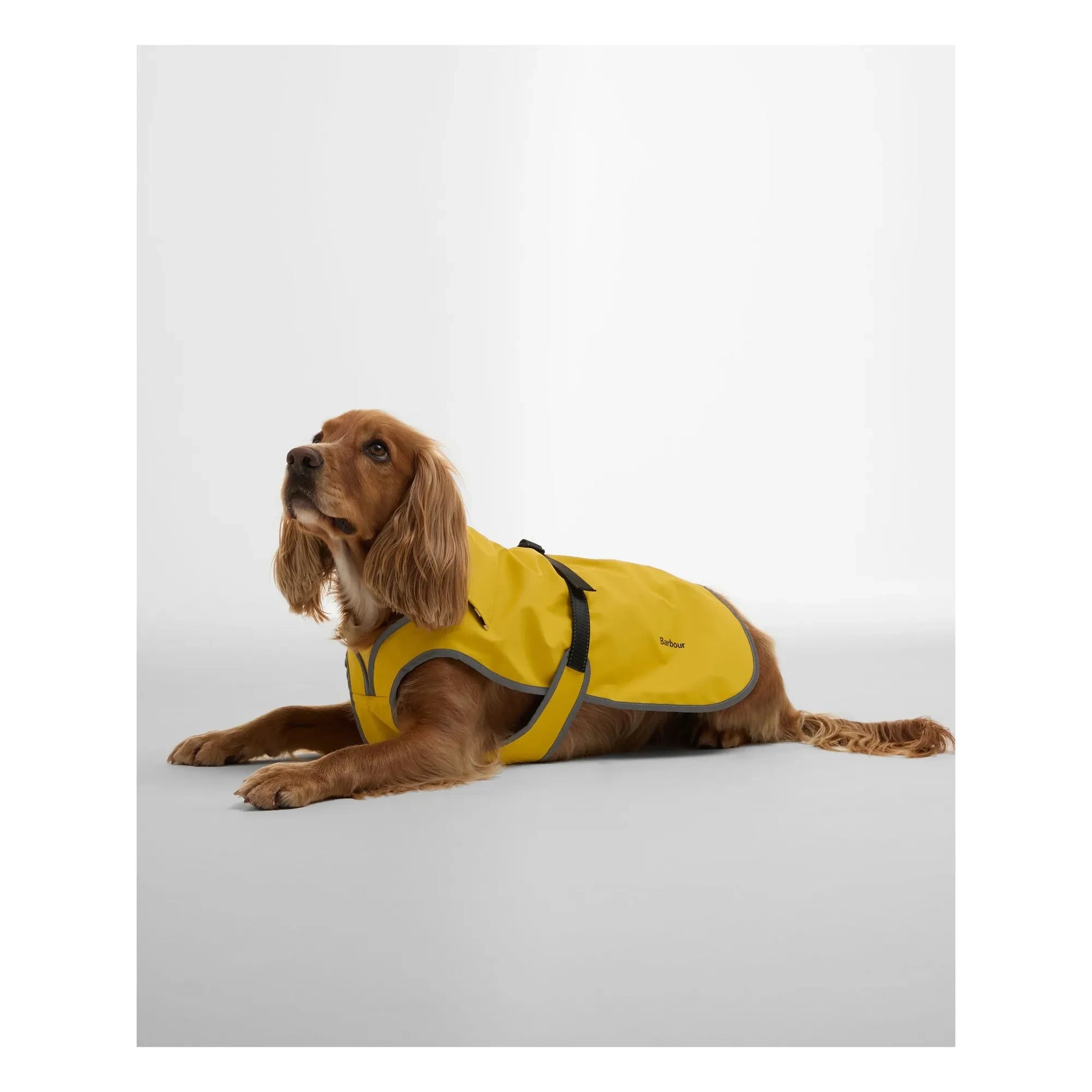 Barbour - Evie waterproof coat for dogs | Yellow