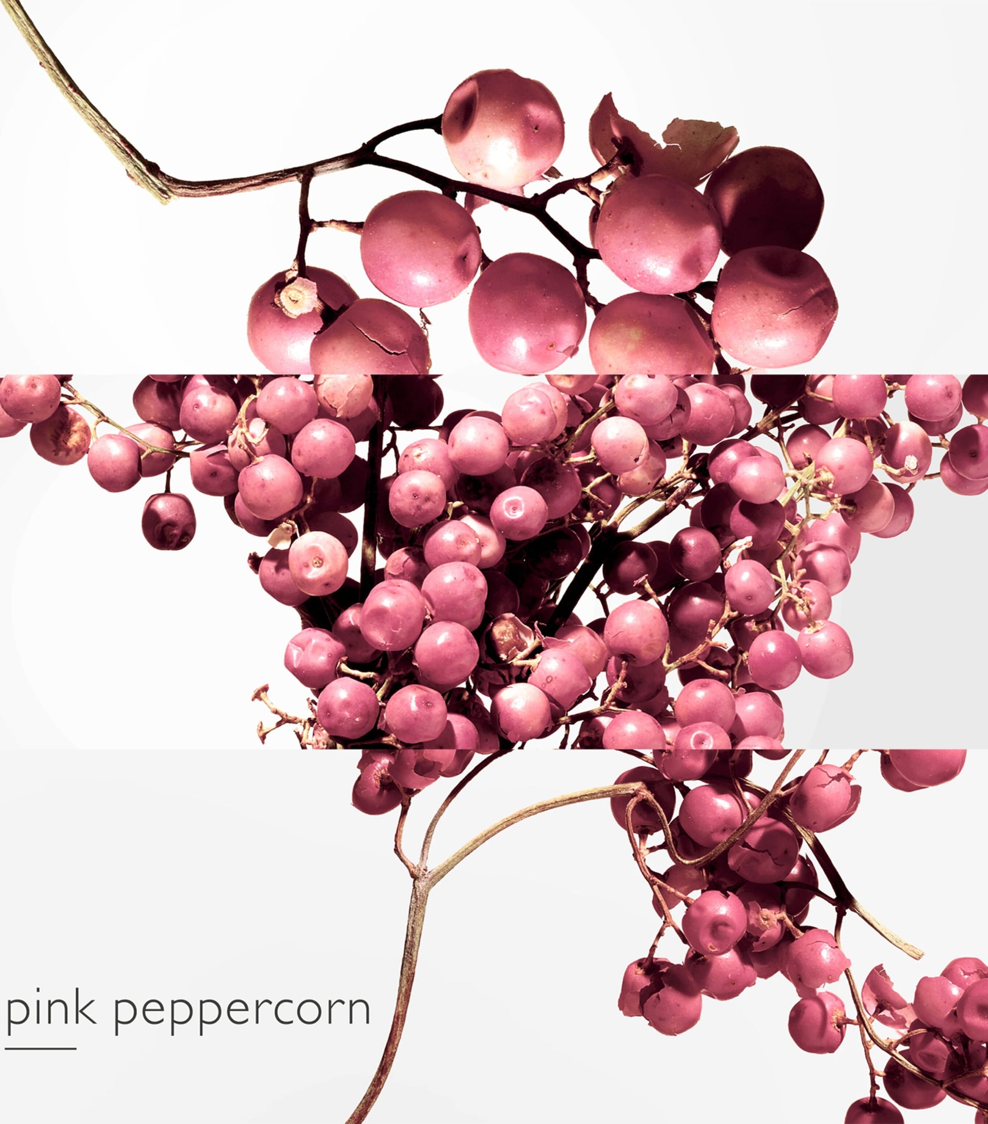 HERMÈS Twilly d'Hermès Eau Poivrée Eau de Parfum (50ml)