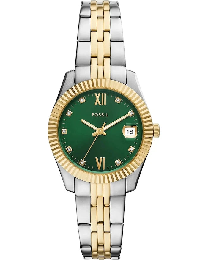 Fossil Bicolor Saat