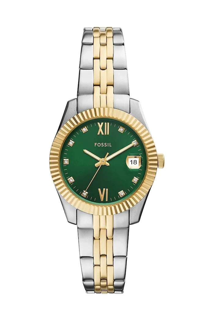 Fossil Bicolor Saat