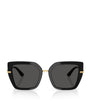 Black Acetate Butterfly Sunglasses