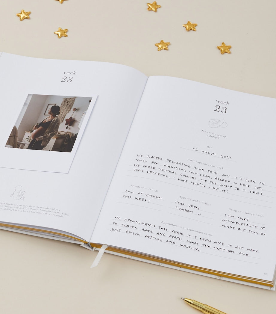 Blush and Gold My Pregnancy Journal