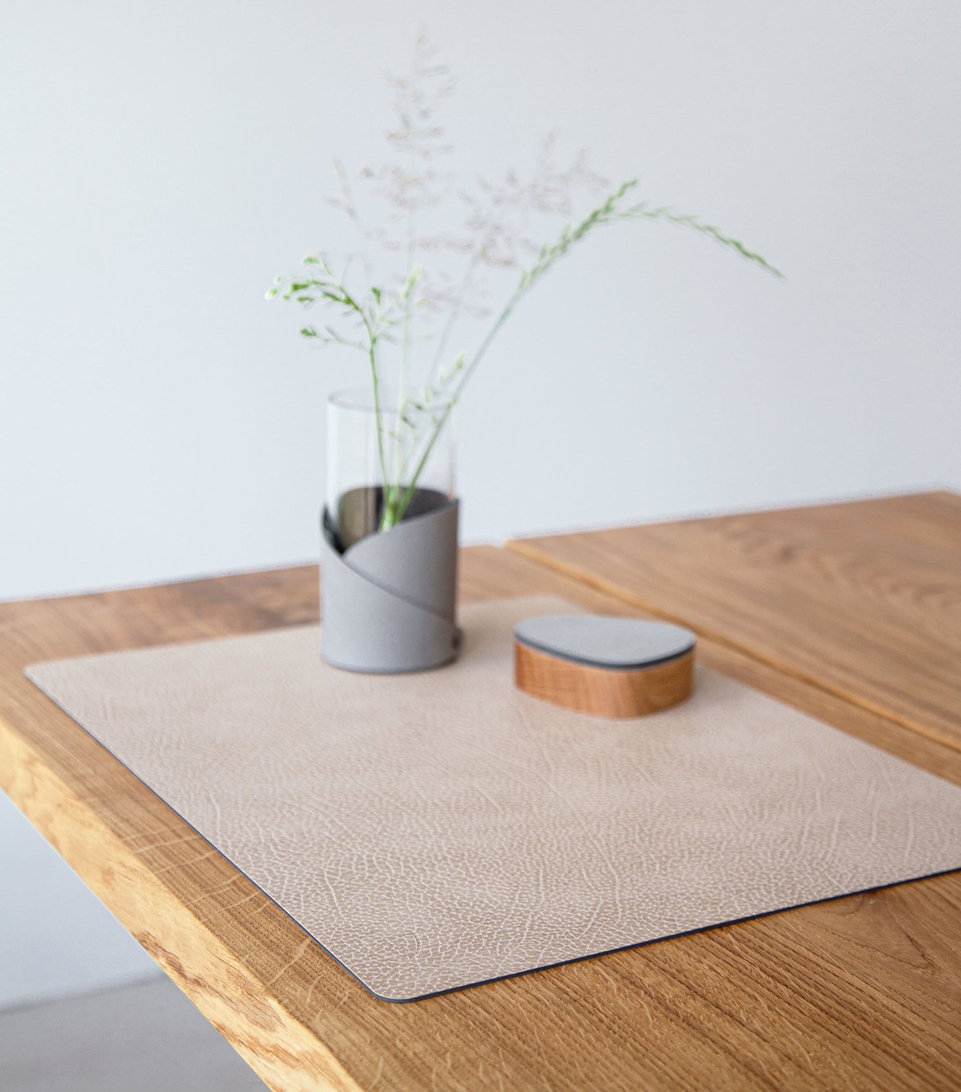 Hippo Square Placemats (Set of 4)