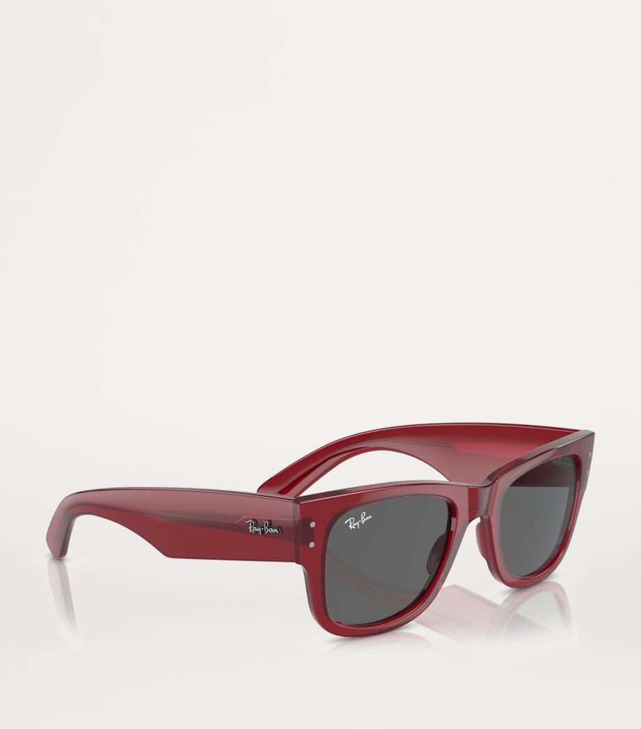 Ray-Ban Red Propionate 0RB0840S Sunglasses