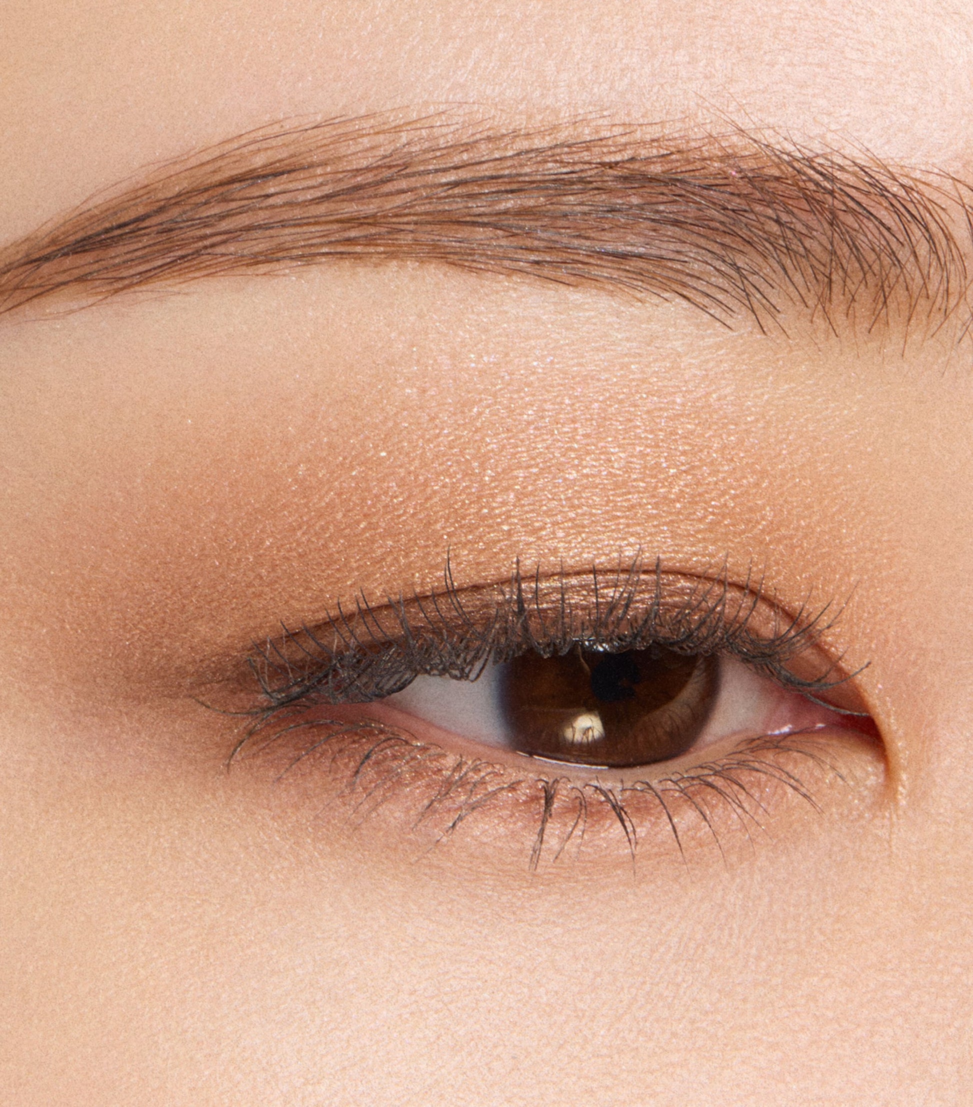 Signature Colour Eyes Palette