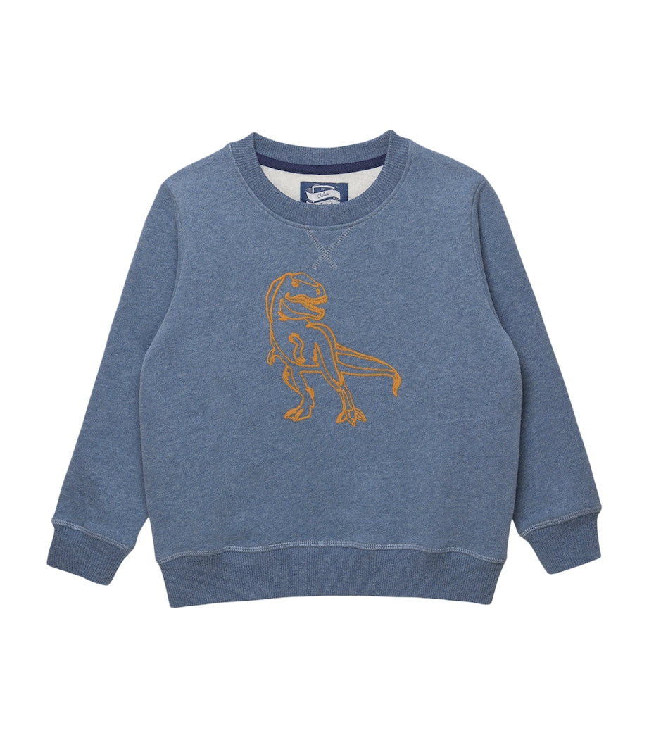 Cotton Dinosaur Sweatshirt (2-5 Years)
