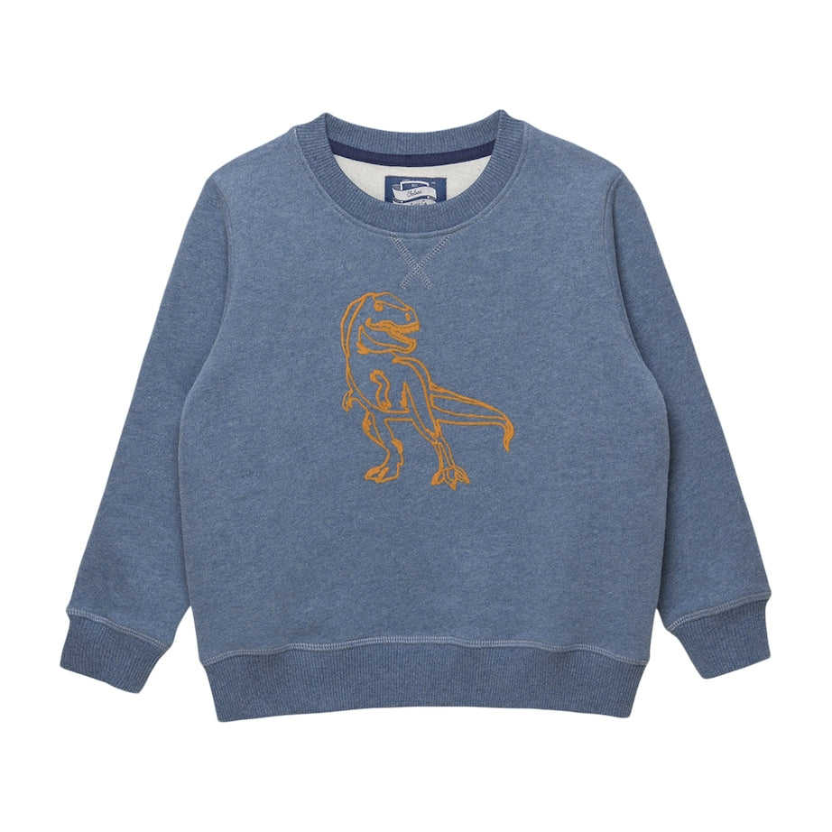 Cotton Dinosaur Sweatshirt (2-5 Years)