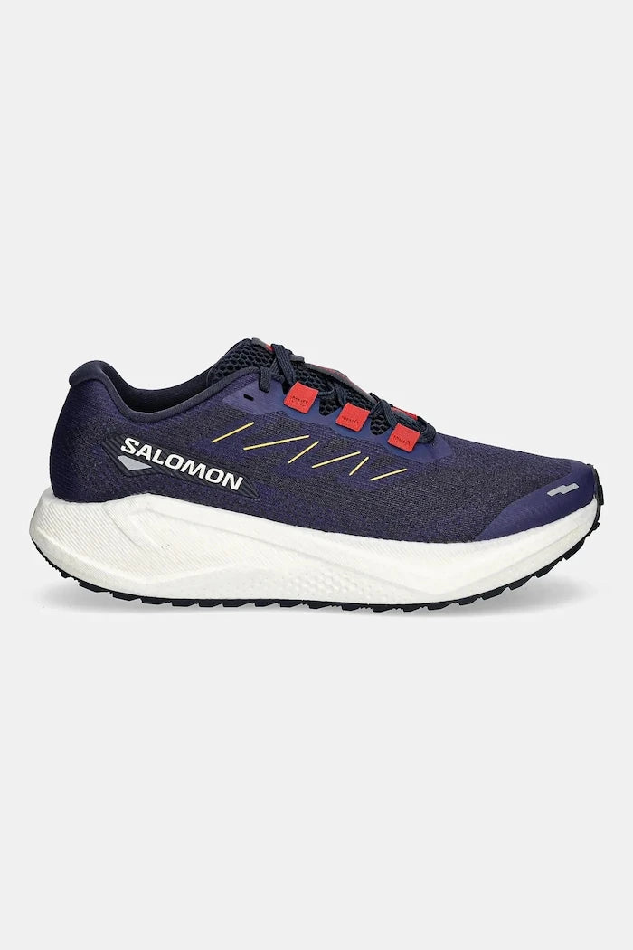 Обувки за бягане Salomon AERO BLAZE 3 GRVL
