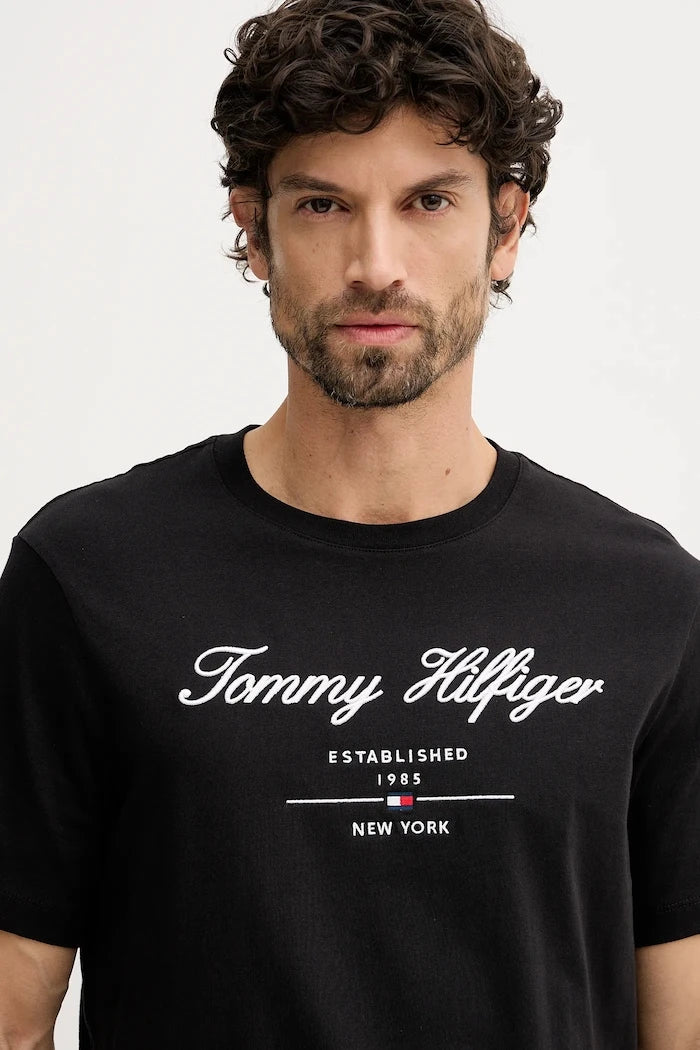 Tommy Hilfiger erkek pamuklu tişört