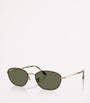 Ray-Ban Brown RB3749 Irregular Sunglasses
