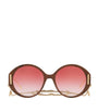 Brown Acetate GG1202S Sunglasses