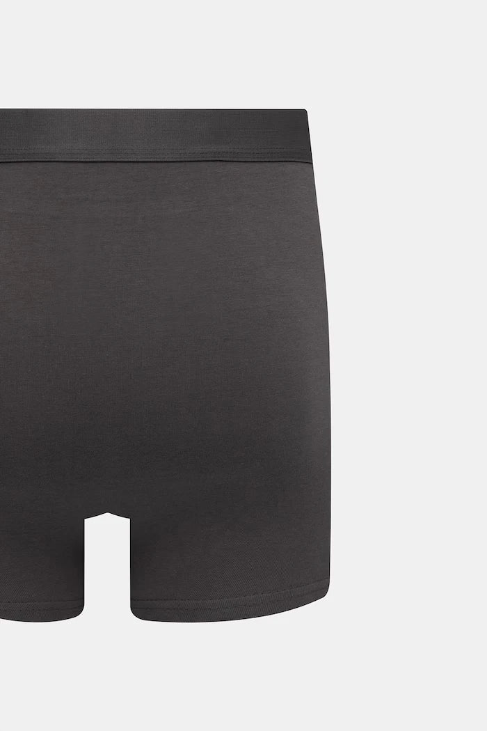 Karl Lagerfeld erkek pamuklu elastan IKON üçlü slip boxer