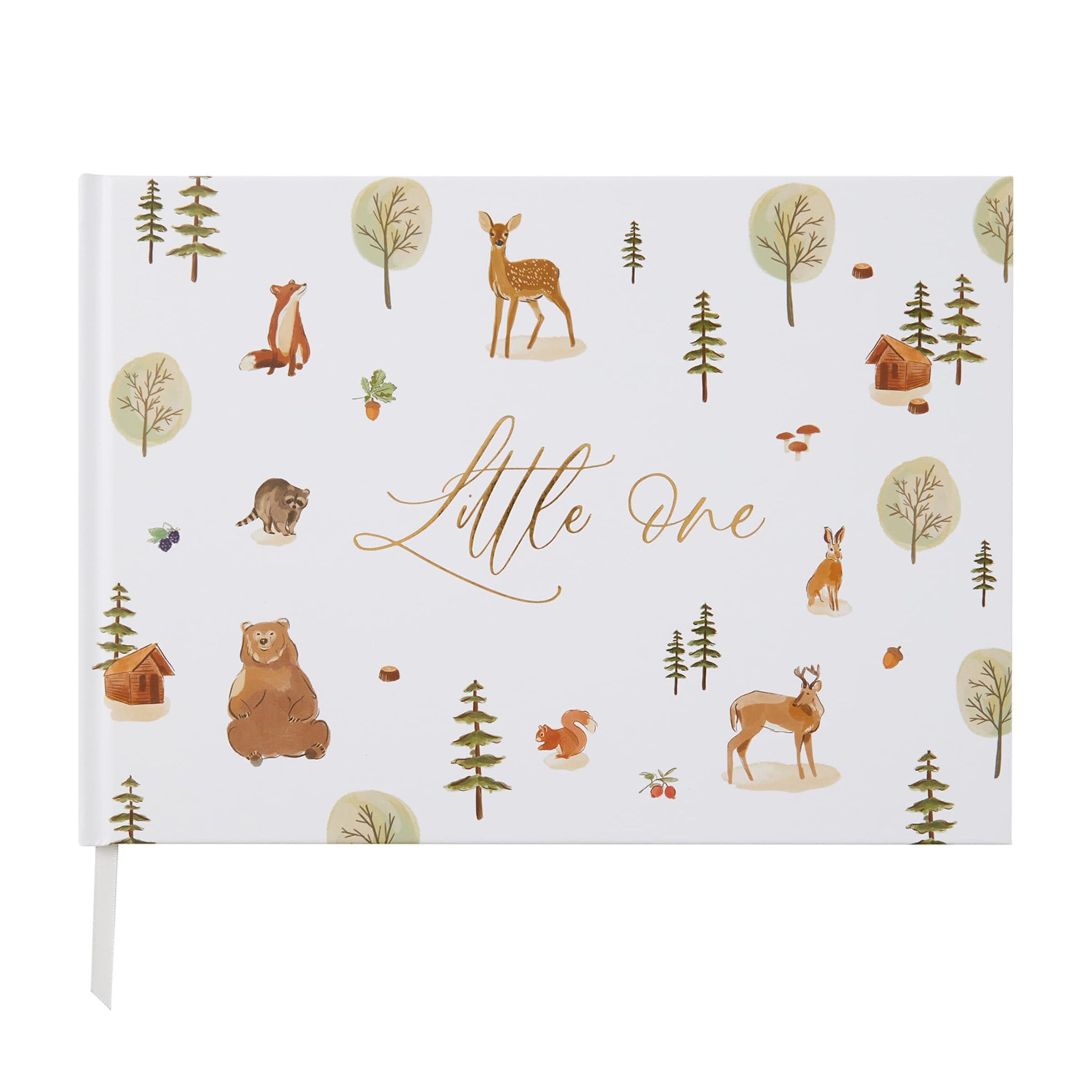 Blush and Gold My Baby Memory Book