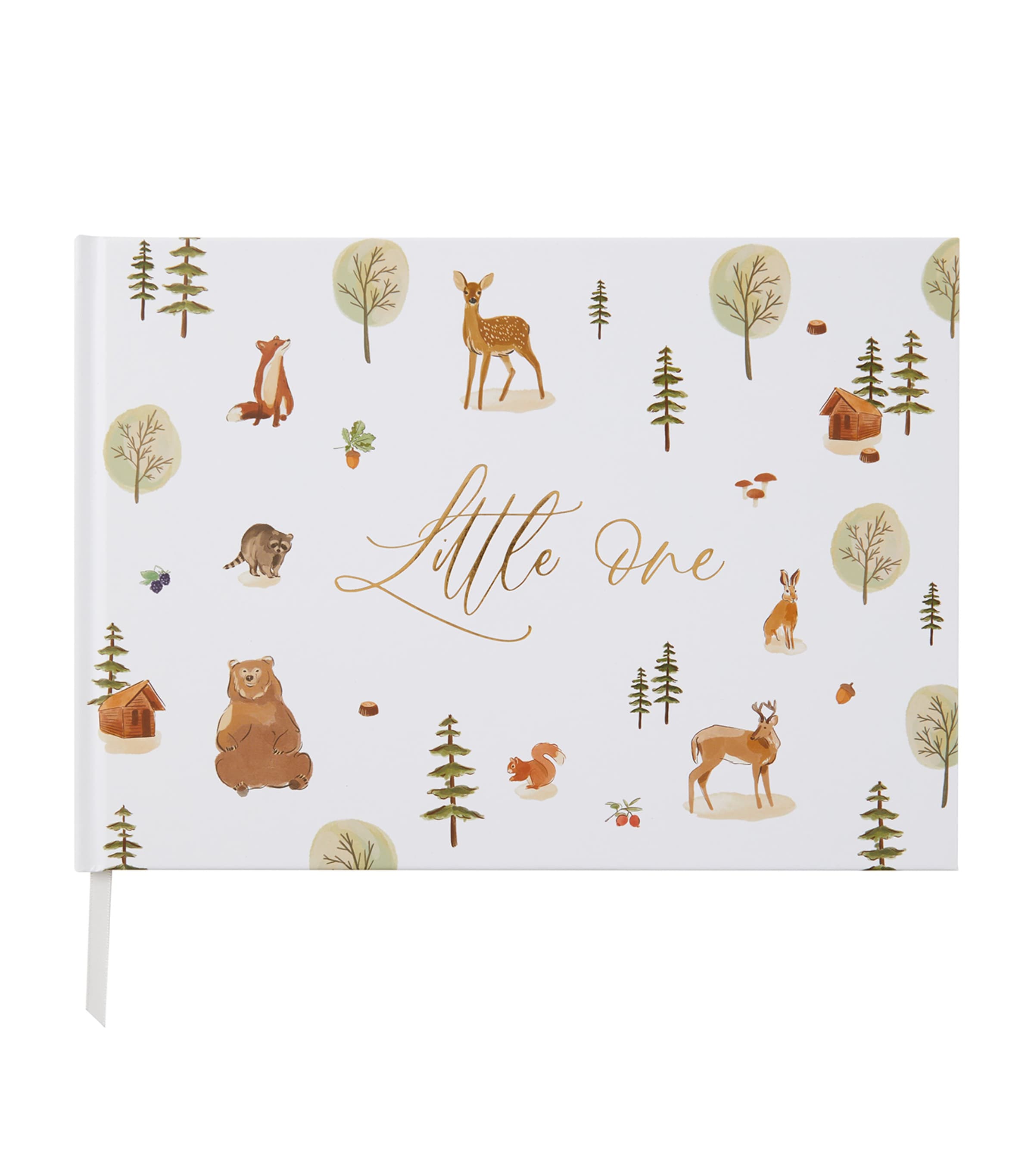 Blush and Gold My Baby Memory Book