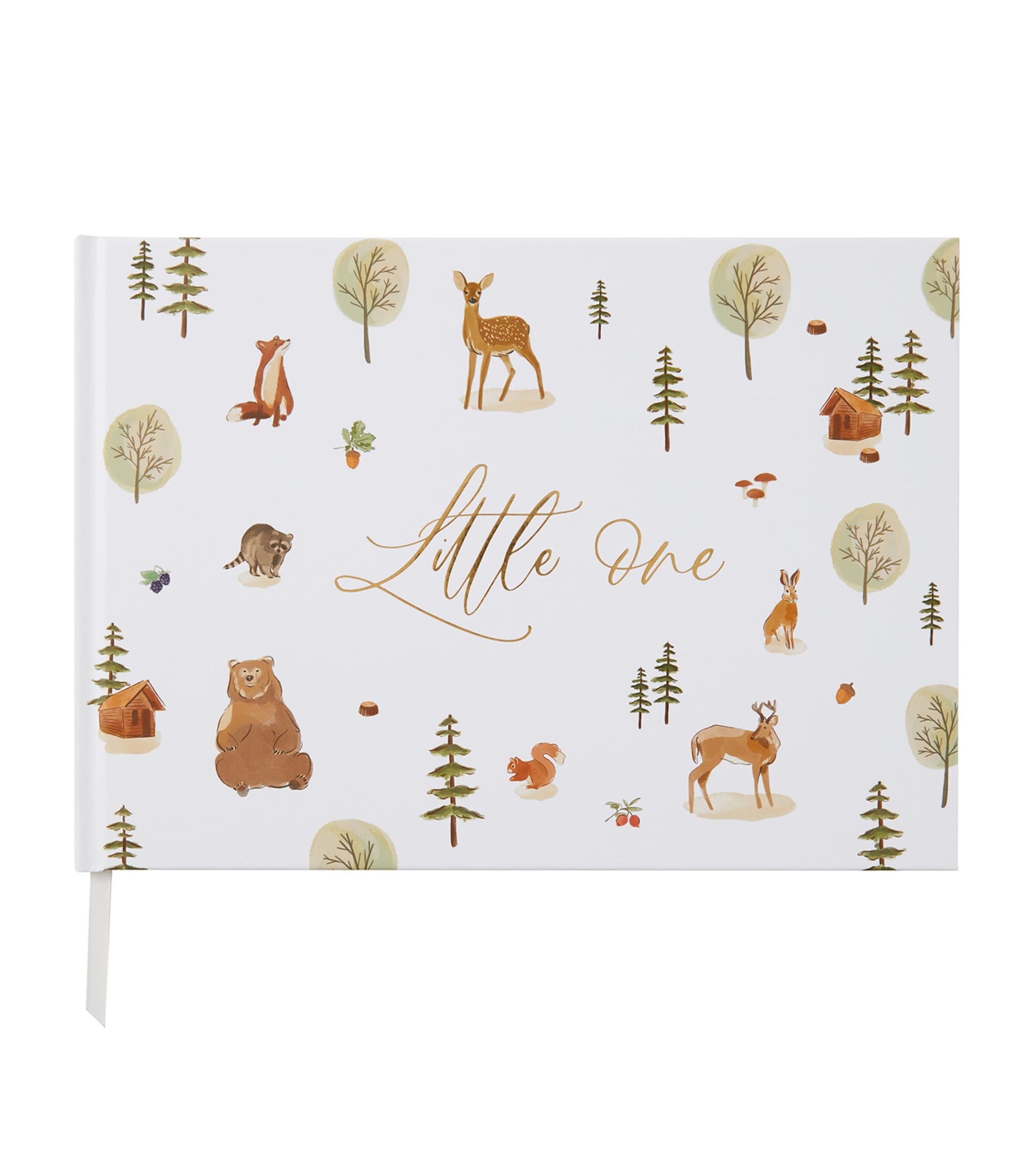 Blush and Gold My Baby Memory Book