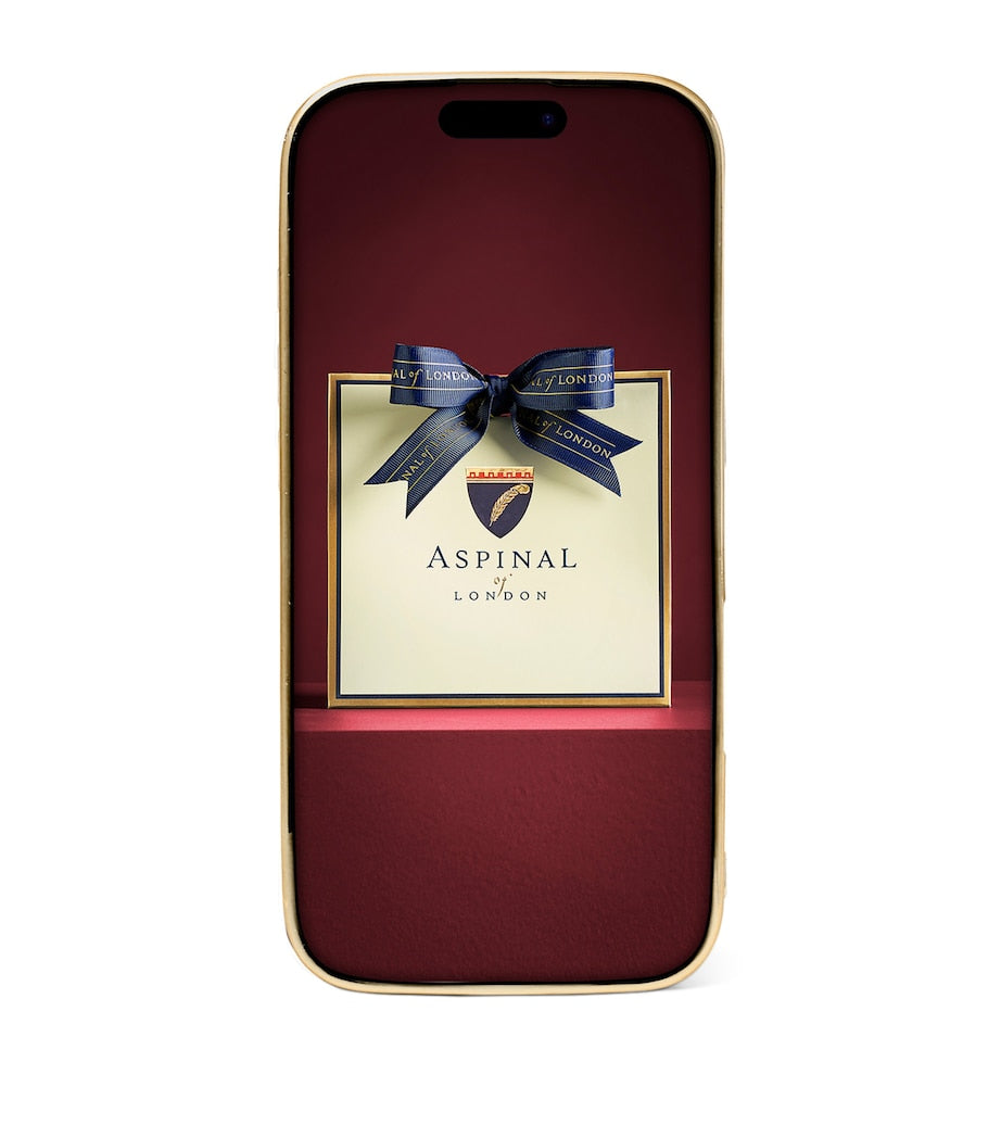 Aspinal Of London Brown Leather iPhone 16 Pro Case
