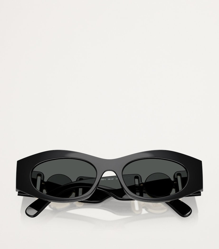 Black Acetate Oval Sunglasses
