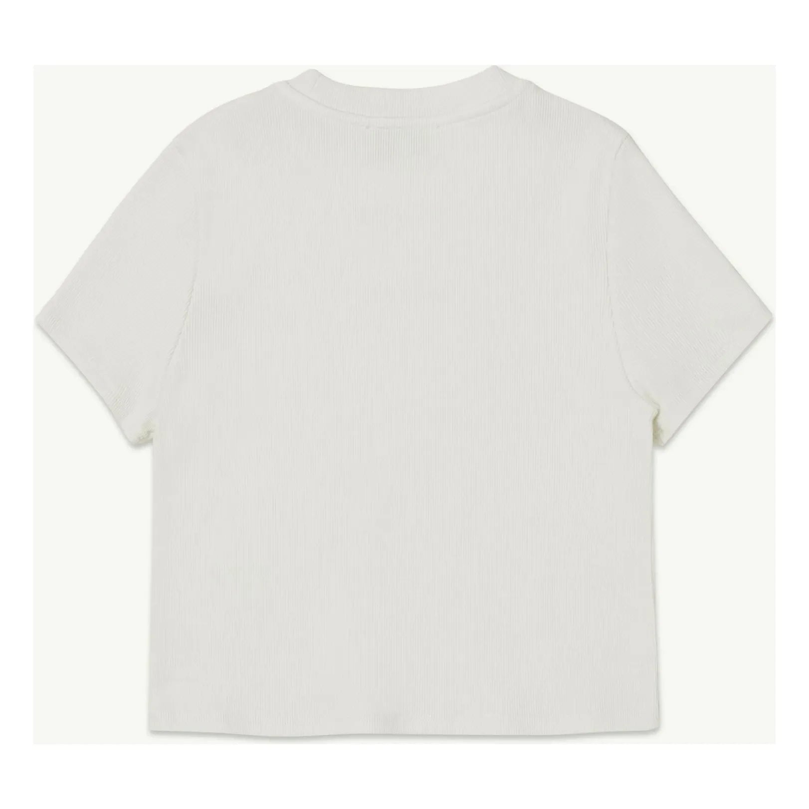 Main Story - T-shirt Regular Organic cotton | White