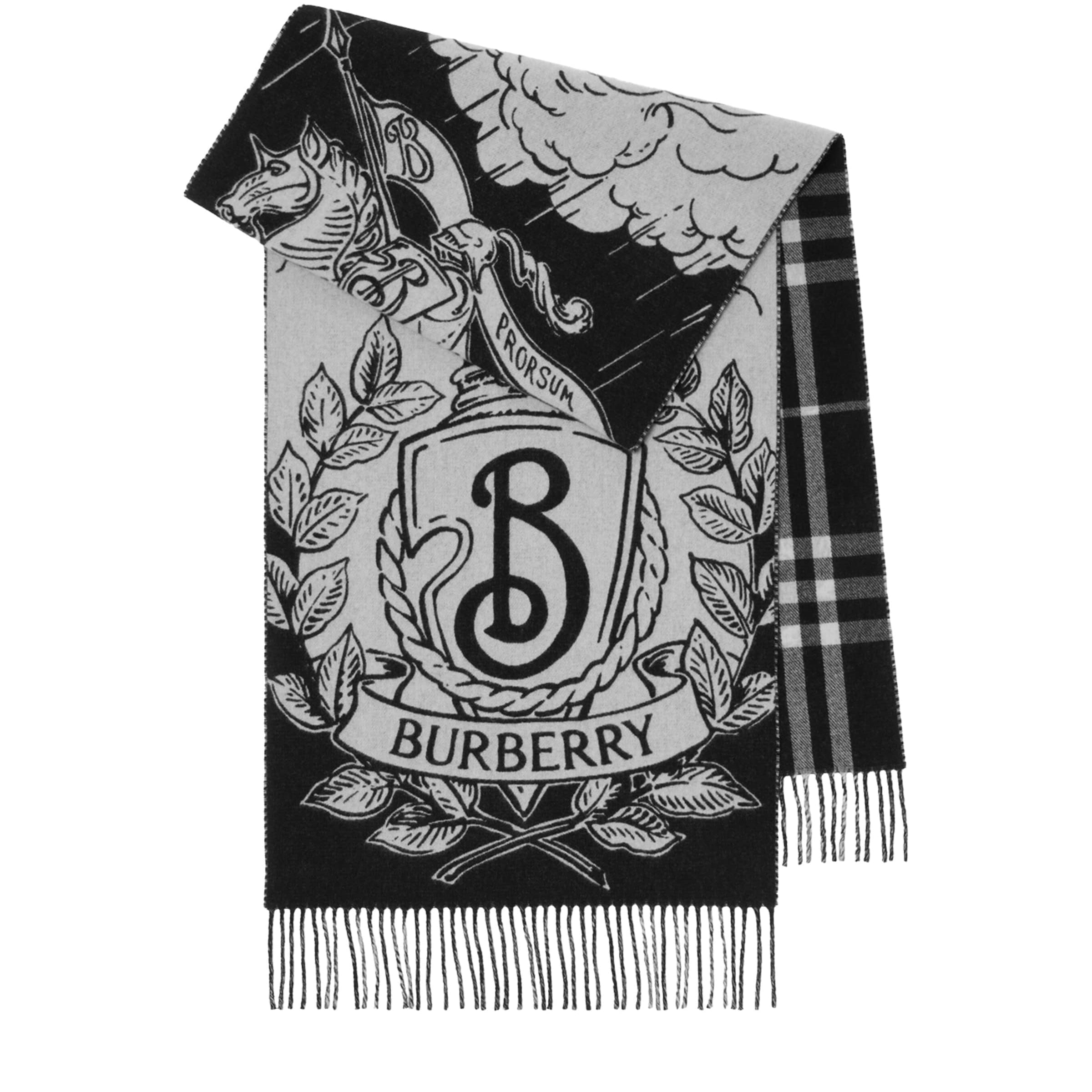 Cashmere Reversible Stormy Knight Scarf