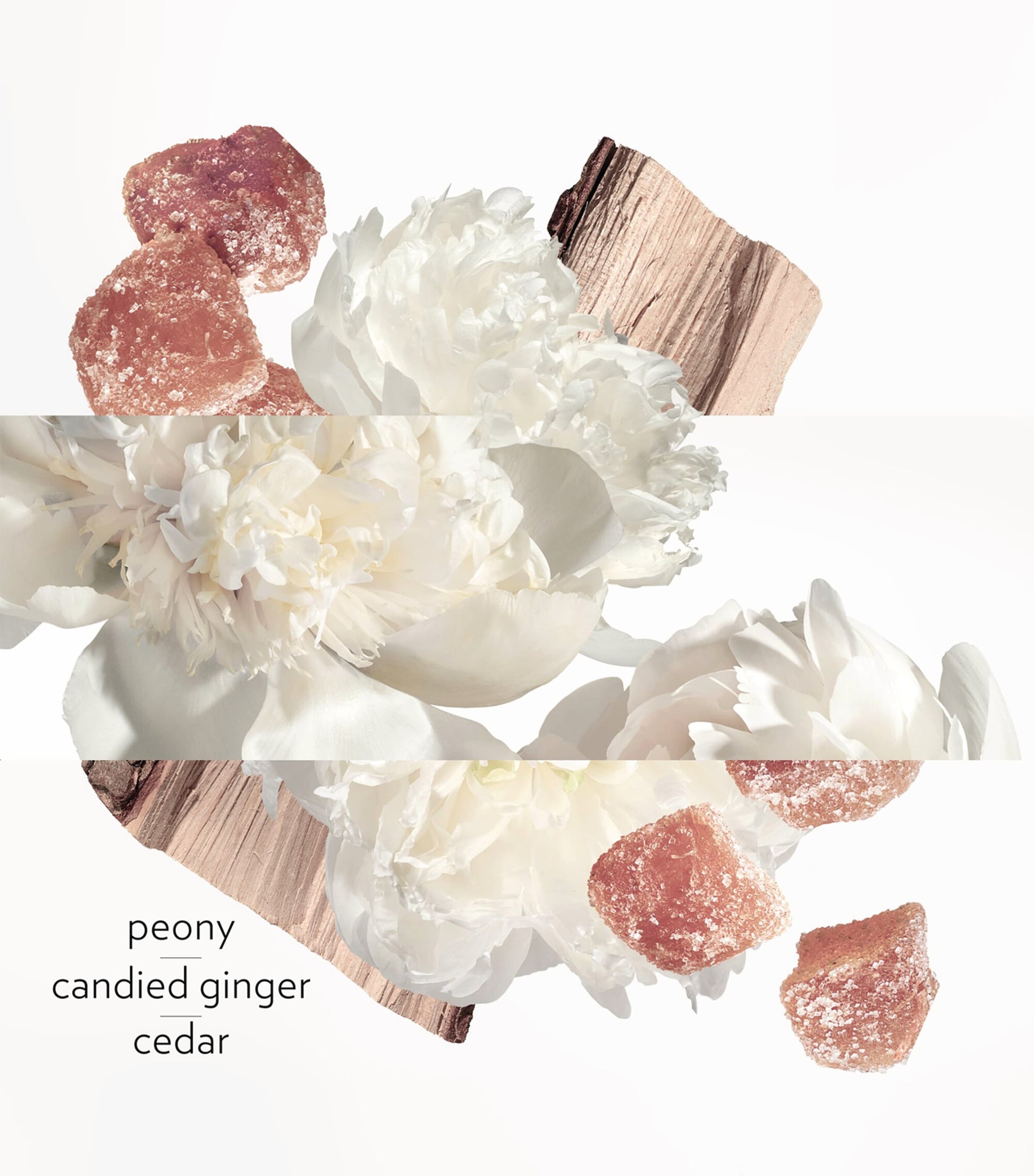 HERMÈS Twilly D'Hermès Ginger Eau de Parfum (50Ml)