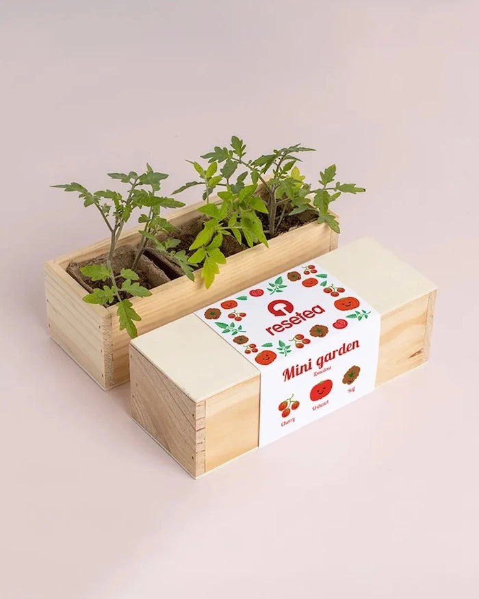 Комплект за отглеждане на растения RESETEA Mini garden Tomatoes 21 x 7,8 x 6,5 cm