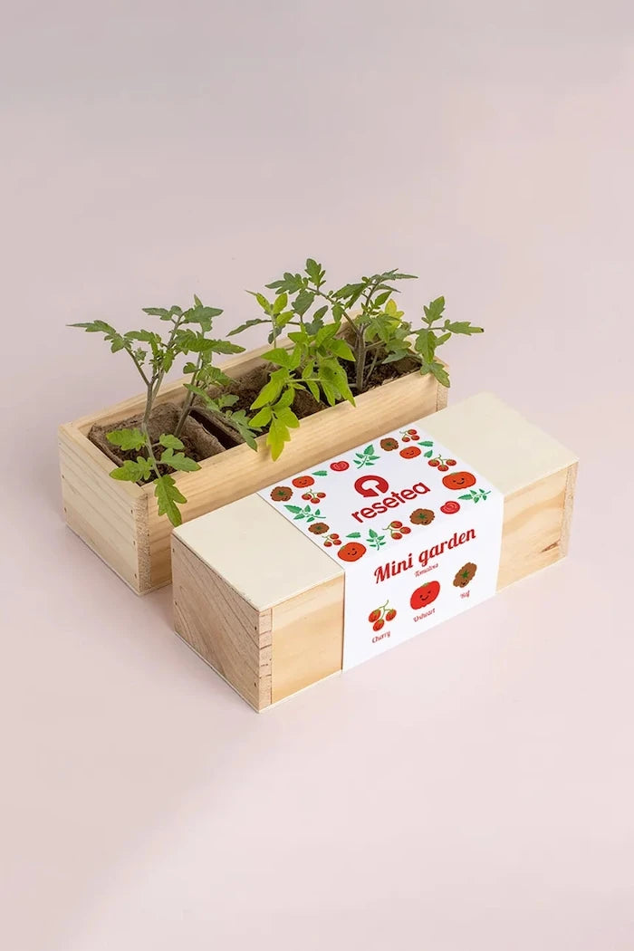 RESETEA Mini garden Tomatoes Bitki Yetiştirme Seti 21 x 7,8 x 6,5 cm