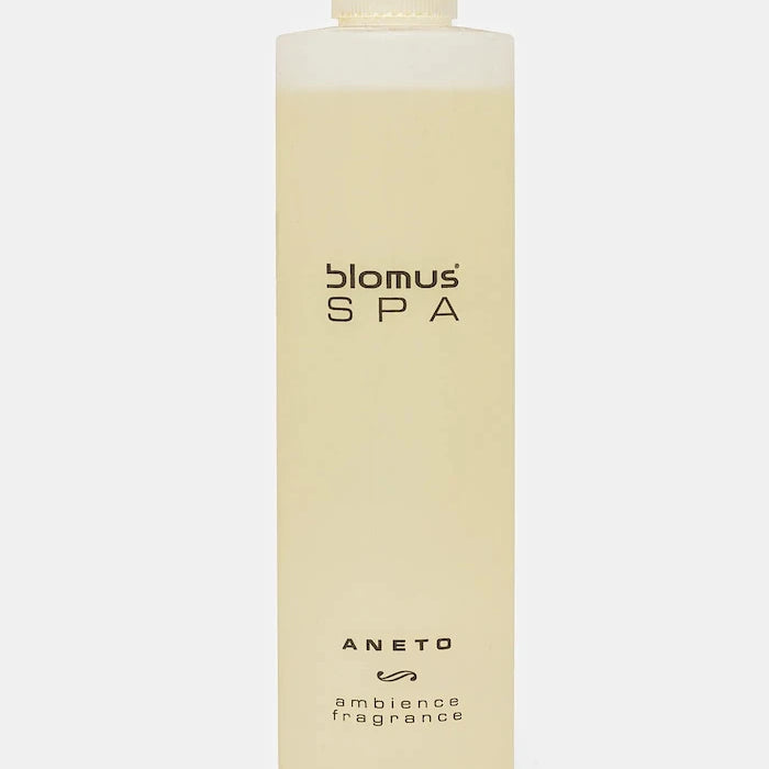 Аромат за стая Blomus Aneto 300 ml