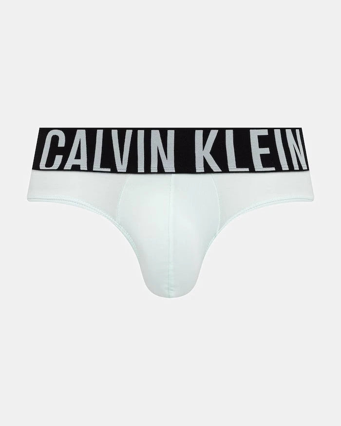 Calvin Klein Underwear Erkek Slip 3'lü