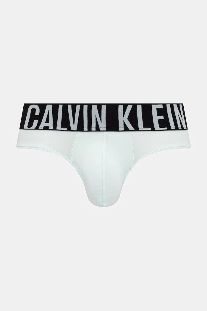 Calvin Klein Underwear Erkek Slip 3'lü