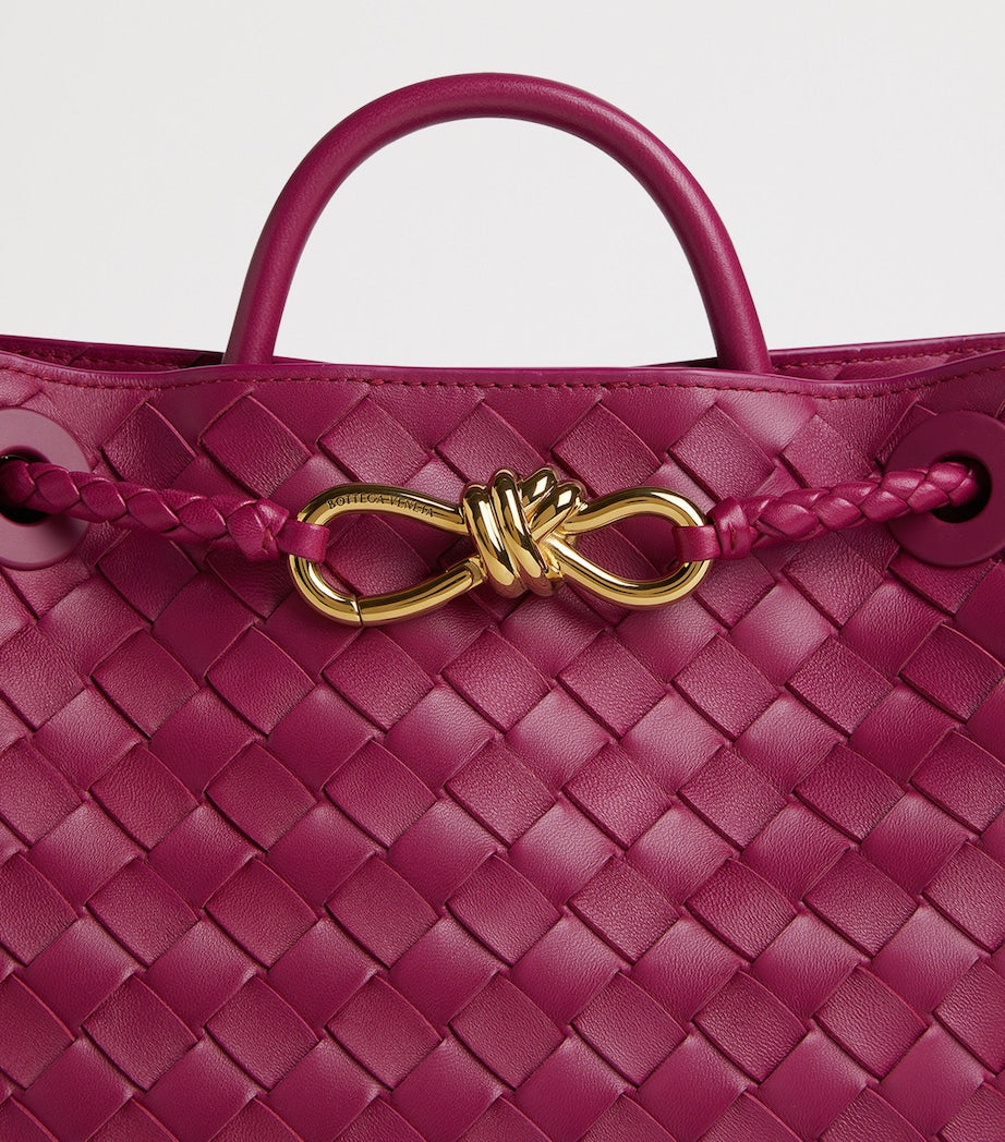 Bottega Veneta Pink Small Lambskin Andiamo Shoulder Bag 5569