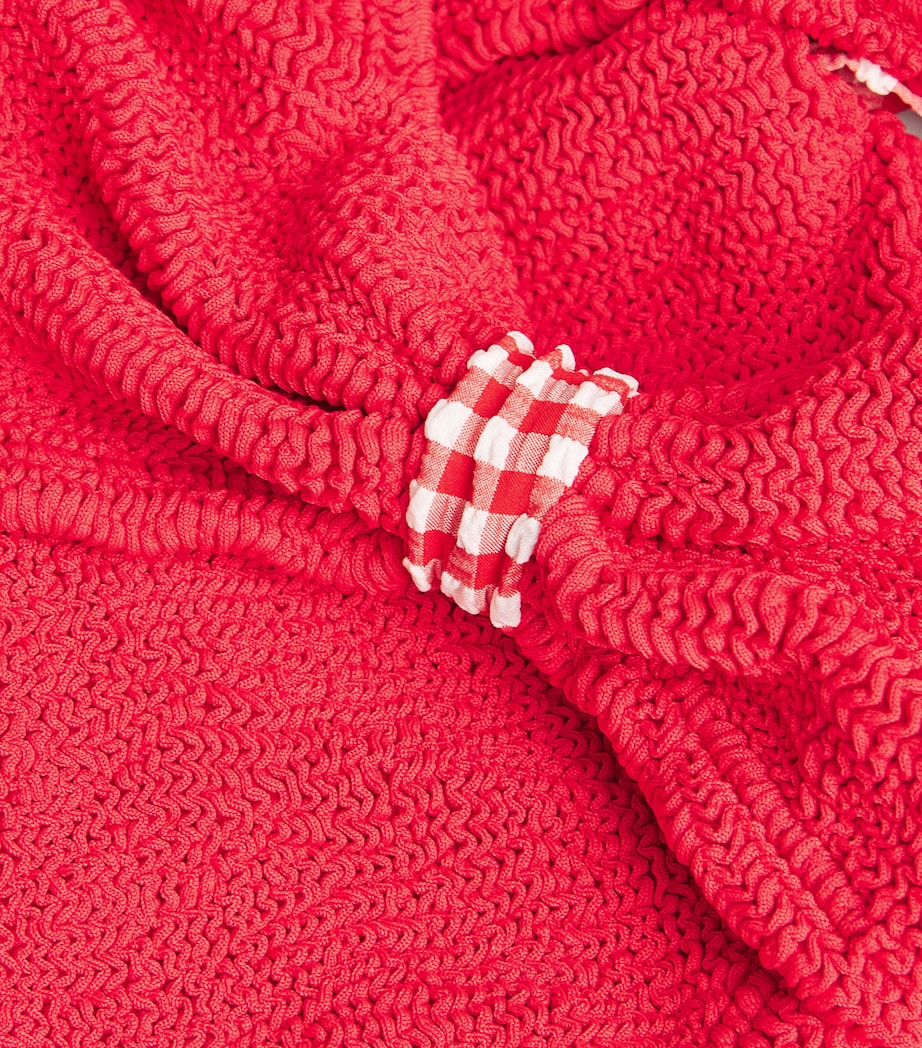 Gingham-Trim Jean Bikini RED/RED GINGHAM