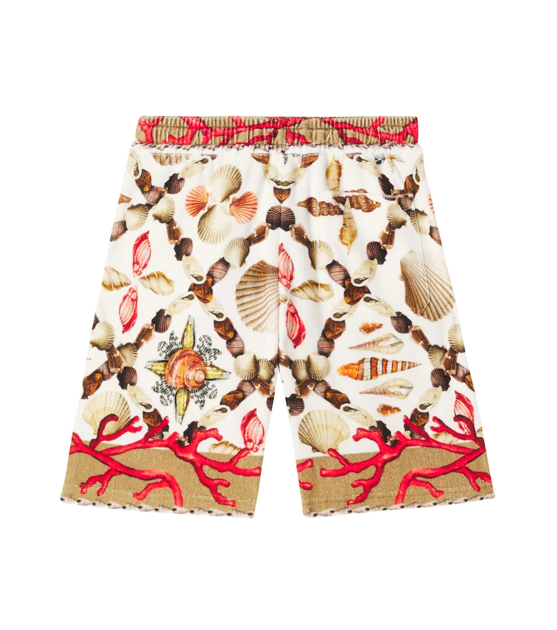 Dolce&Gabbana Kids - Printed cotton Bermuda shorts