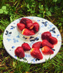 Wild Strawberry Inky Blue Dinner Plate (27cm)