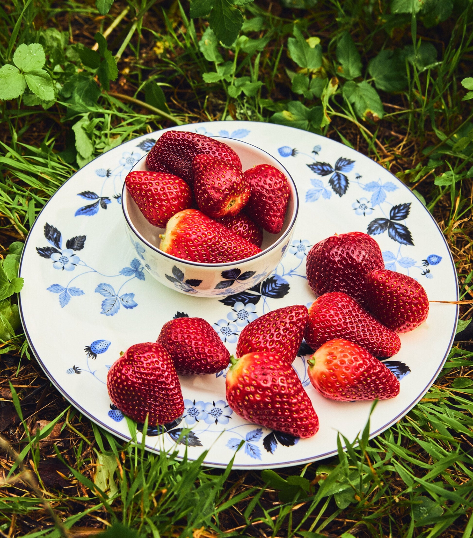Wild Strawberry Inky Blue Dinner Plate (27cm)