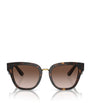 Brown Havana Butterfly Sunglasses