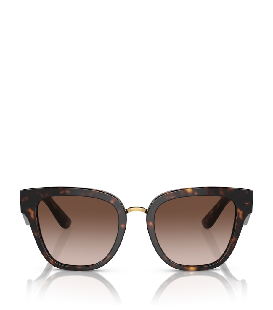 Brown Havana Butterfly Sunglasses