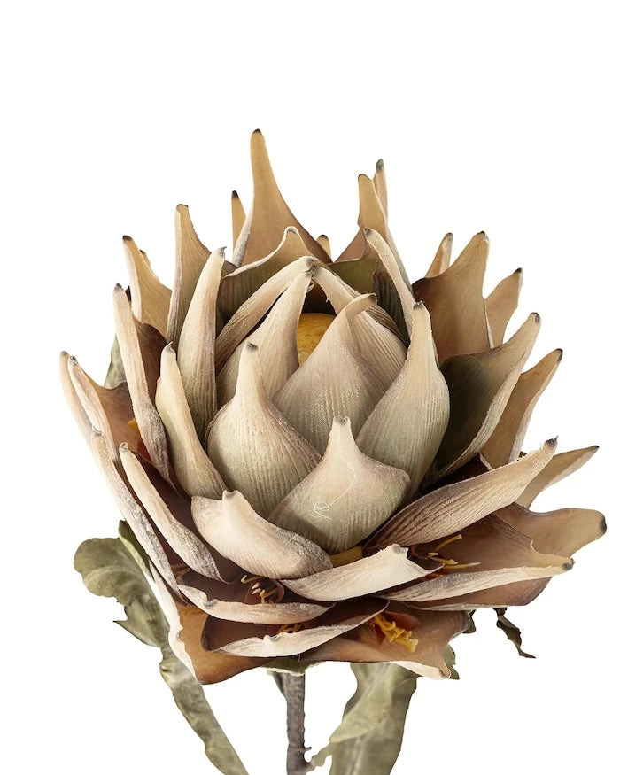 Yapay Çiçekler Bloomingville Protea Dalı 76 cm