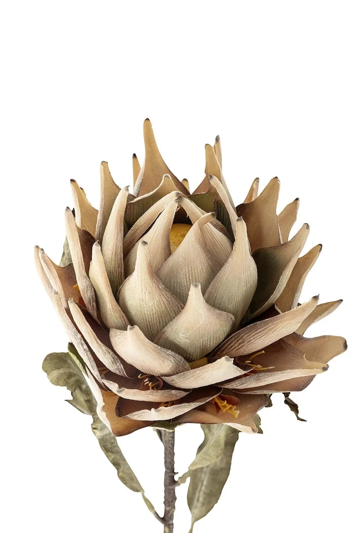 Изкуствени цветя Bloomingville Protea Stem 76 cm