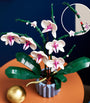 Orchid Display 10311