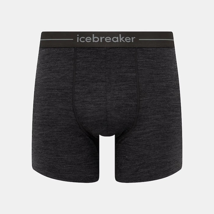 Боксерки Icebreaker Anatomica