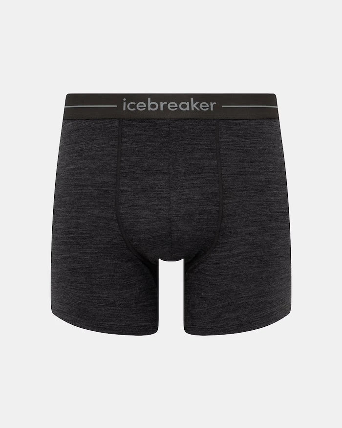 Боксерки Icebreaker Anatomica