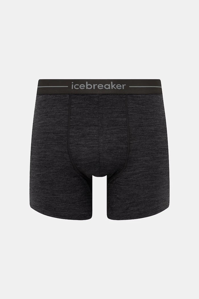 Боксерки Icebreaker Anatomica