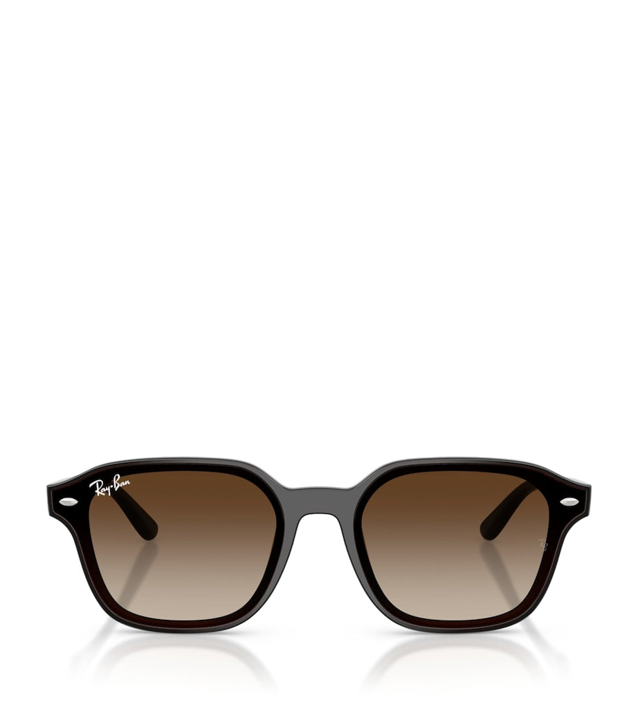 Ray-Ban Brown RB4458D Square Sunglasses