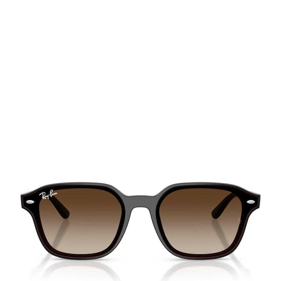 Ray-Ban Brown RB4458D Square Sunglasses