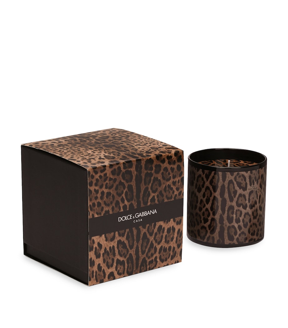 Dolce & Gabbana Casa Leopardo Patchouli Candle (380g)