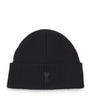 Merino Logo Beanie