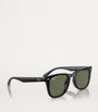 Injected RB4420 Sunglasses